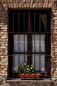 旧窗花和黄色花