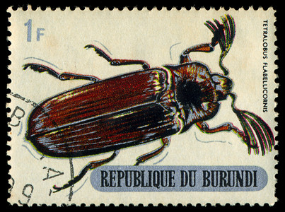 布隆迪共和国 - 大约 1970 年：印刷在布隆迪共和国展示甲虫，大约 1970 年。