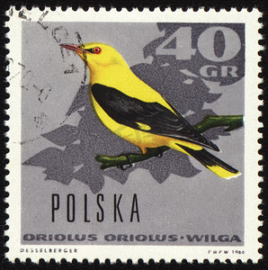 邮票上的黄莺