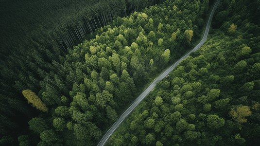 道路救援车汽车摄影照片_一条蜿蜒穿过森林的道路的鸟瞰