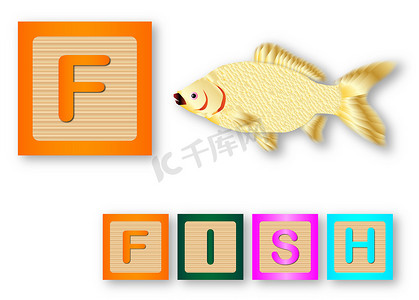 F代表鱼