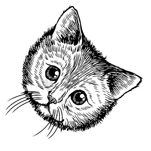小猫，小猫的手绘草图插图