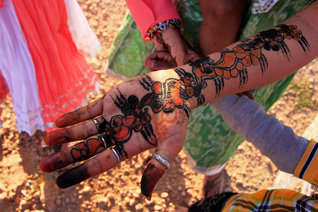 展示无刺指甲花画的当地女孩，印度 Khichan 村