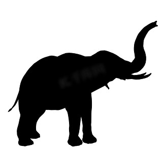 大象插图剪影