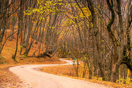 秋天的山景，蜿蜒的道路
