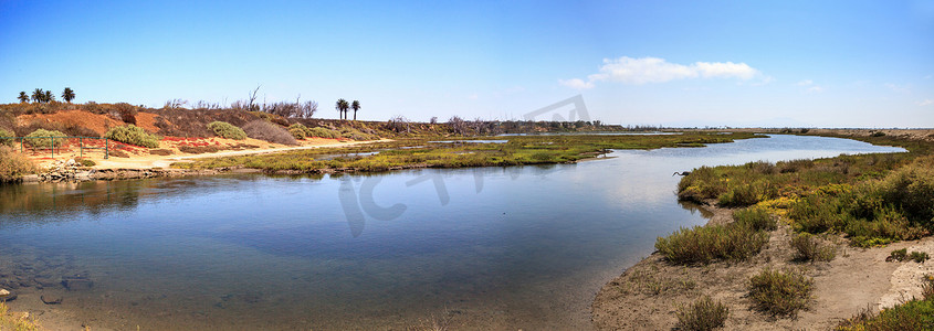 Bolsa Chica 湿地宁静祥和的沼泽