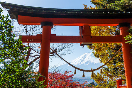 日本的牌坊、枫树和富士山