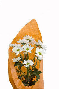 橙色包装的一束白菊花