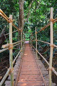 森林吊桥摄影照片_印第安纳约翰斯风格的吊桥