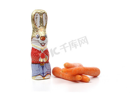 复活节兔子用胡萝卜