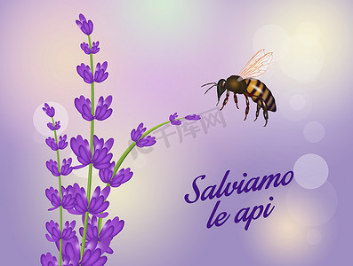 可爱昆虫插画摄影照片_拯救蜜蜂的可爱插画