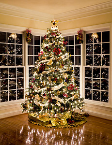 圣诞树夜晚摄影照片_夜晚美丽的圣诞树