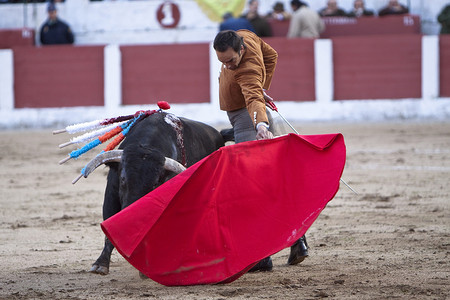 2010 年 3 月 14 日，西班牙哈恩省利纳雷斯，西班牙斗牛士曼努埃尔·耶稣“El Cid”在斗牛场斗牛