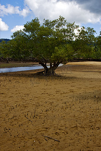 灰色沙滩摄影照片_马达加斯加保护区