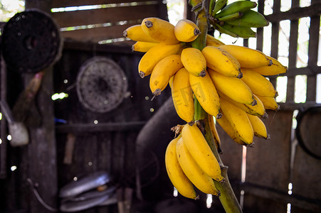 东南亚美食摄影照片_传统木制厨房中的黄色香蕉