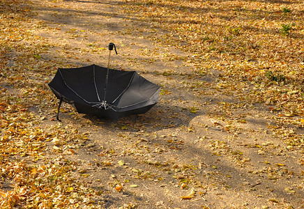 公园里的雨伞