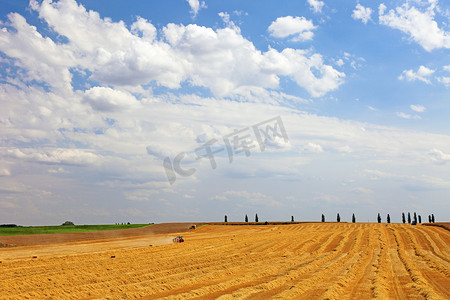 农业景观，收割小麦的机械，欧洲。
