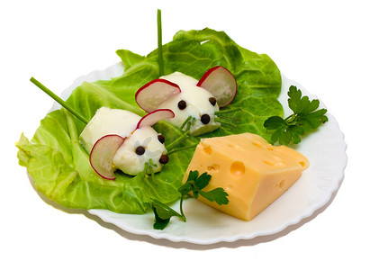 沙拉——两只老鼠和奶酪