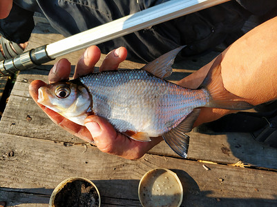 渔夫手里拿着一条刚从河里打捞上来的鱼