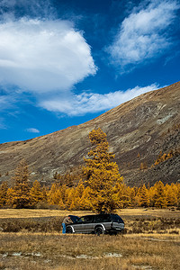 黄色suv摄影照片_SUV 在阿尔泰山的一棵树下。