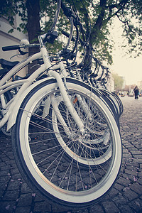 租用自行车：停放自行车探索城市、旅游景点