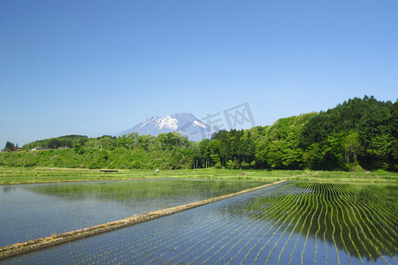 岩手山和田园风光