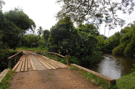 巴布亚新几内亚的木桥