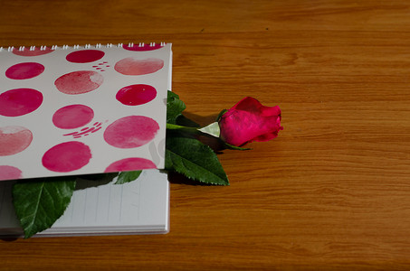 红色诗词摄影照片_书中的玫瑰