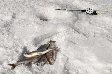 关于冬天摄影照片_关于钓鱼