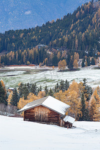 Alpe di Siusi 多雪的初冬景观。