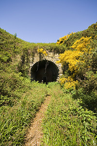 拱形隧道摄影照片_拉文斯卡铁路隧道