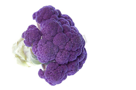孤立的紫色花椰菜