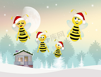 蜜蜂在圣诞节