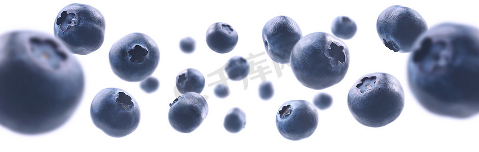 成熟的蓝莓漂浮在白色背景上