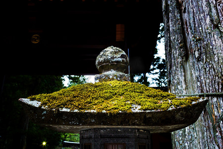 日本日式灯笼摄影照片_长满苔藓的石灯笼