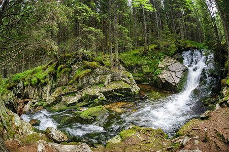 国家公园摄影照片_深山森林中的瀑布