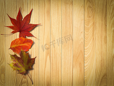 秋天木板背景摄影照片_秋叶上的木质背景组合
