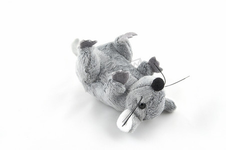 灰色玩具老鼠
