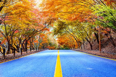 韩国国家公园的秋天。