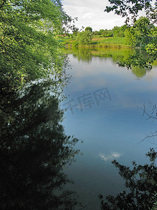 天空和树枝摄影照片_倒映在池水镜面上的天空和树枝