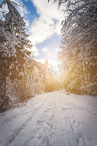 在自然中的晴朗的冬天风景：小径、多雪的树、阳光和蓝天