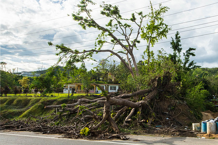 飓风玛丽亚对波多黎各的破坏