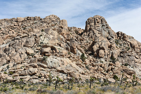 约书亚树纳蒂童子军步道沿线的大花岗岩巨石
