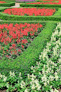 红色正式摄影照片_英国正式花园中的修剪