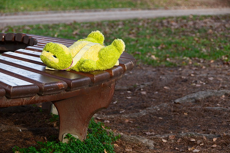 孤独的被遗忘的软青蛙玩具躺在公园的长椅上等待主人。