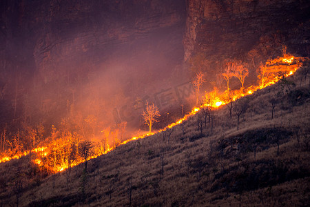 山上的森林火灾。