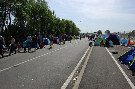 塞尔维亚 - 难民 - 塞尔维亚-匈牙利边境的移民