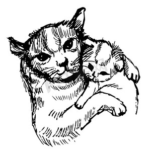 猫手绘动物摄影照片_猫和小猫手绘