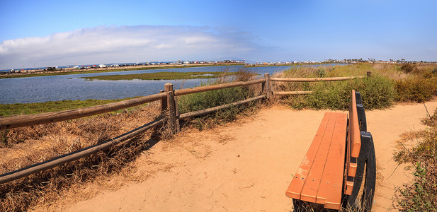 俯瞰 Bolsa Chica 宁静祥和的沼泽的长凳