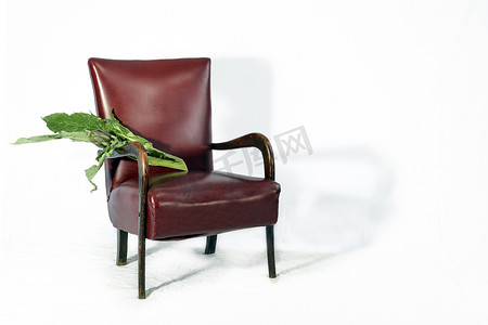 一个朝鲜蓟和椅子